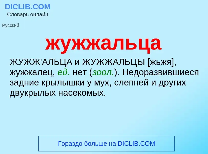 What is жужжальца - definition