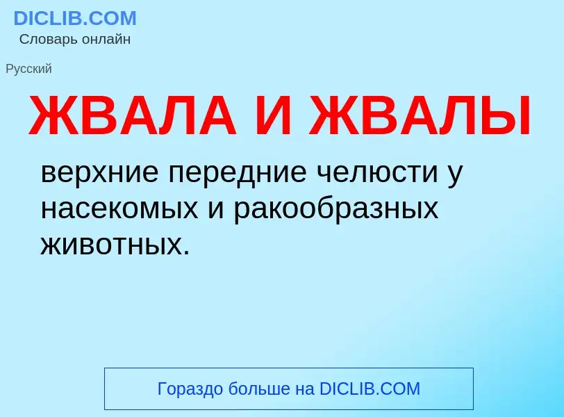 Что такое ЖВАЛА И ЖВАЛЫ - определение