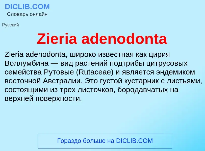 What is Zieria adenodonta - meaning and definition