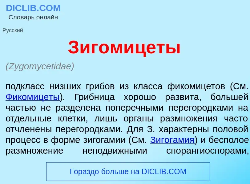 What is Зигомиц<font color="red">е</font>ты - meaning and definition