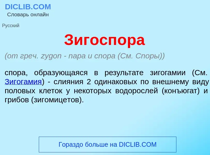 O que é Зигосп<font color="red">о</font>ра - definição, significado, conceito