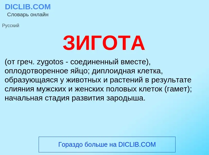 What is ЗИГОТА - meaning and definition