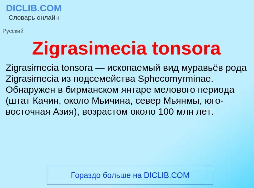 Что такое Zigrasimecia tonsora - определение