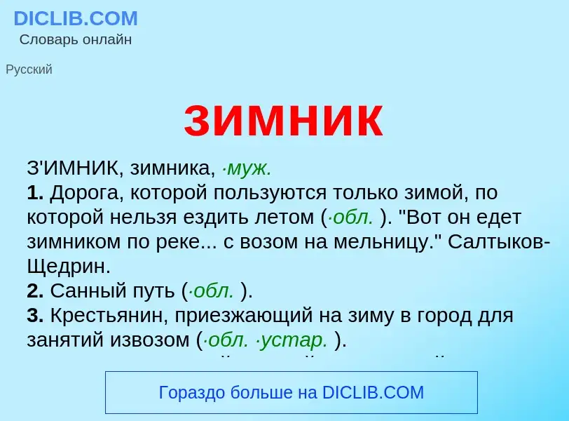 Что такое зимник - определение