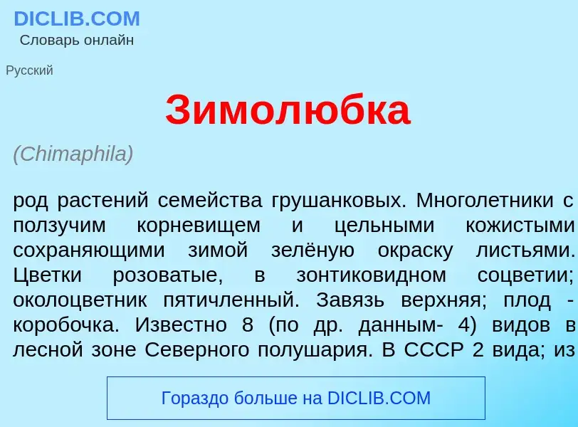 Что такое Зимол<font color="red">ю</font>бка - определение