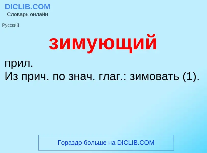 Was ist зимующий - Definition