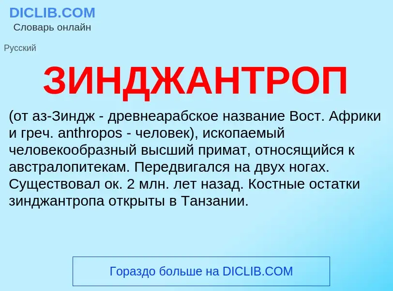 ¿Qué es ЗИНДЖАНТРОП? - significado y definición