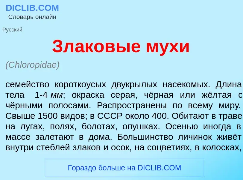 Wat is Зл<font color="red">а</font>ковые м<font color="red">у</font>хи - definition