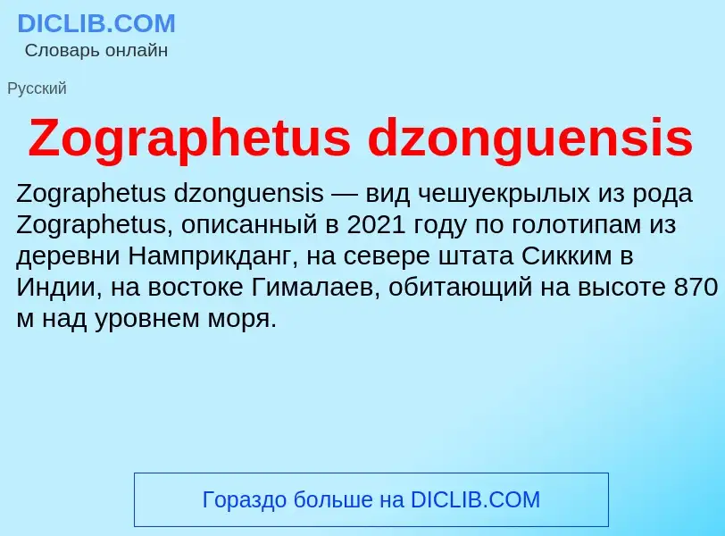 ¿Qué es Zographetus dzonguensis? - significado y definición