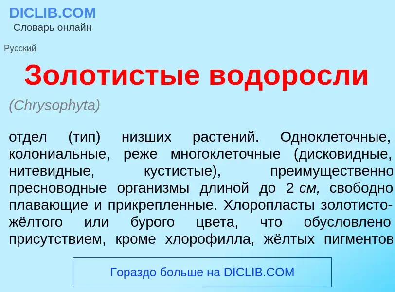 Что такое Золот<font color="red">и</font>стые в<font color="red">о</font>доросли - определение