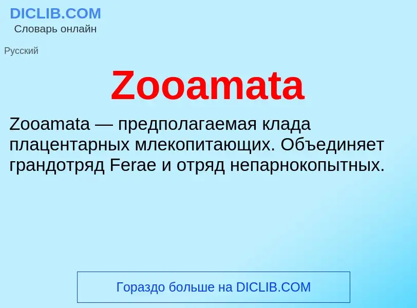 Что такое Zooamata - определение