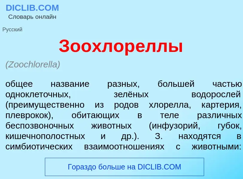 Che cos'è Зоохлор<font color="red">е</font>ллы - definizione