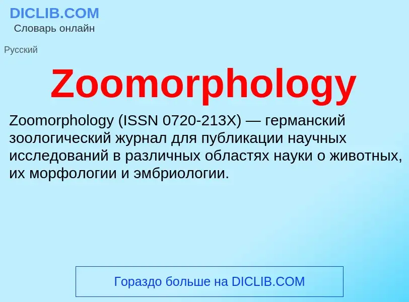 What is Zoomorphology - meaning and definition