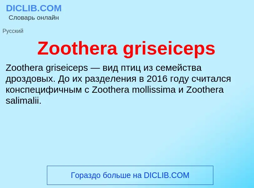 Τι είναι Zoothera griseiceps - ορισμός