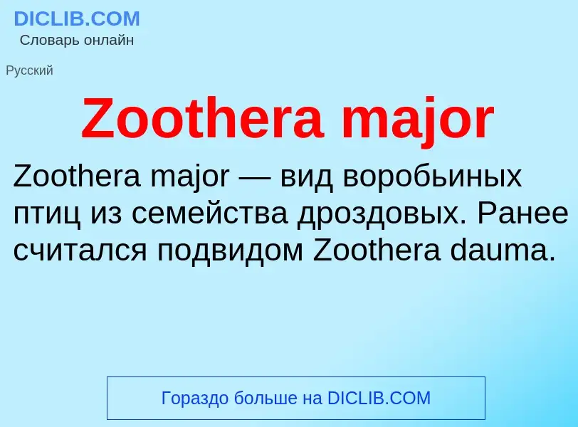 Τι είναι Zoothera major - ορισμός