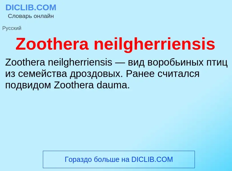 What is Zoothera neilgherriensis - meaning and definition