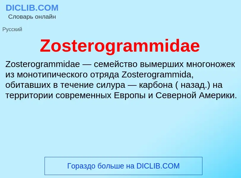 What is Zosterogrammidae - meaning and definition