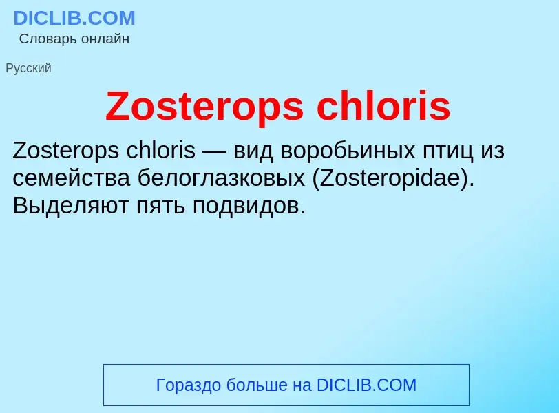 Что такое Zosterops chloris - определение