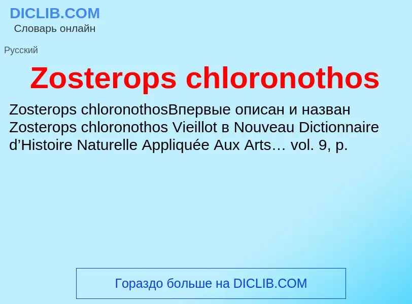 Что такое Zosterops chloronothos - определение