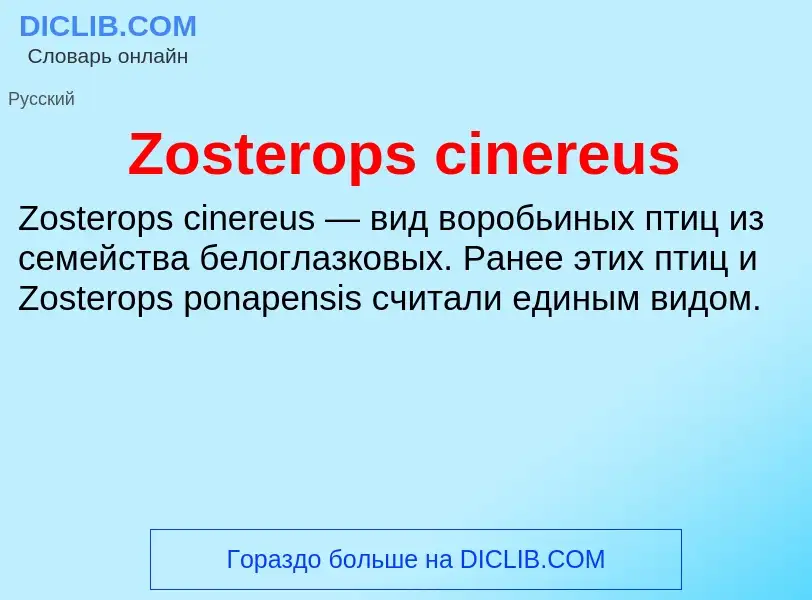 Что такое Zosterops cinereus - определение