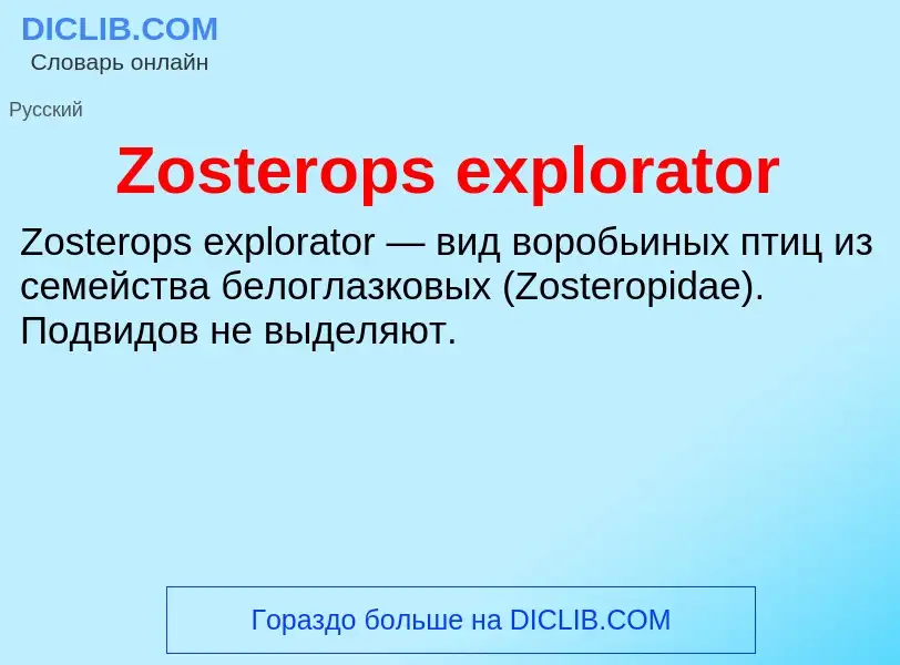 Что такое Zosterops explorator - определение