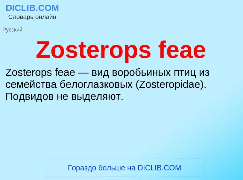 ¿Qué es Zosterops feae? - significado y definición