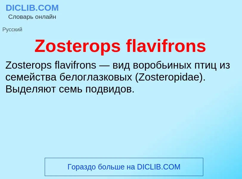 Что такое Zosterops flavifrons - определение