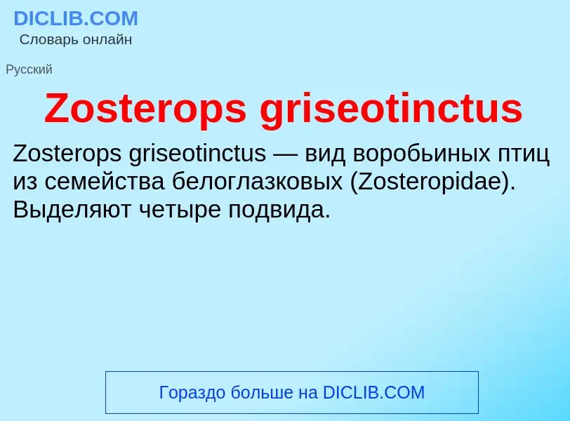 Что такое Zosterops griseotinctus - определение