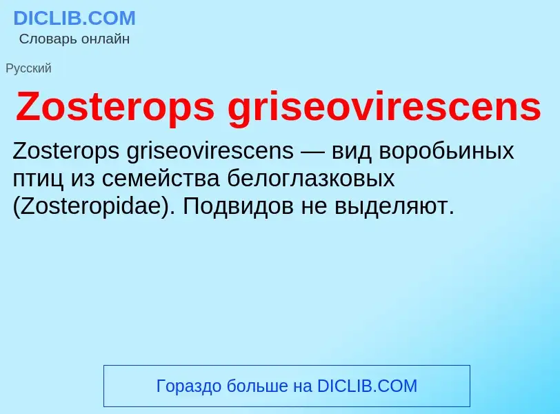 Что такое Zosterops griseovirescens - определение