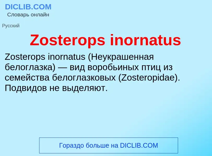 Τι είναι Zosterops inornatus - ορισμός