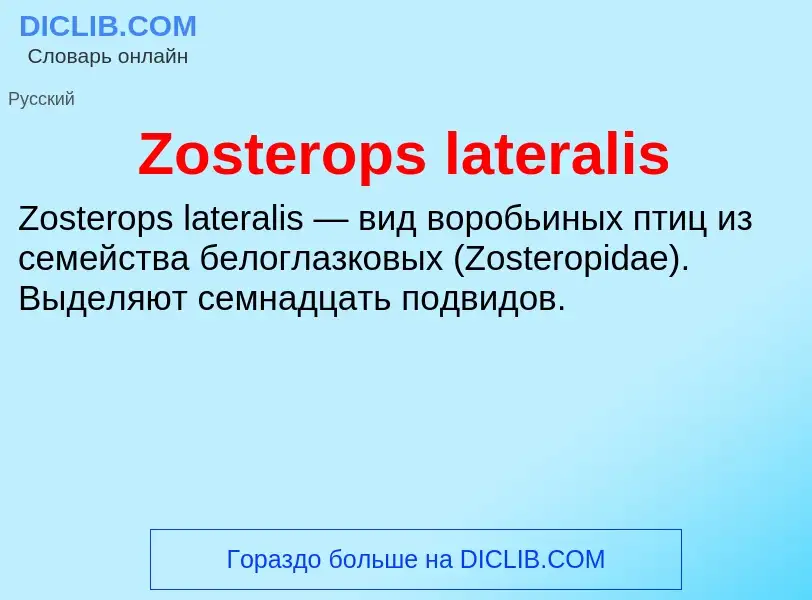 Τι είναι Zosterops lateralis - ορισμός