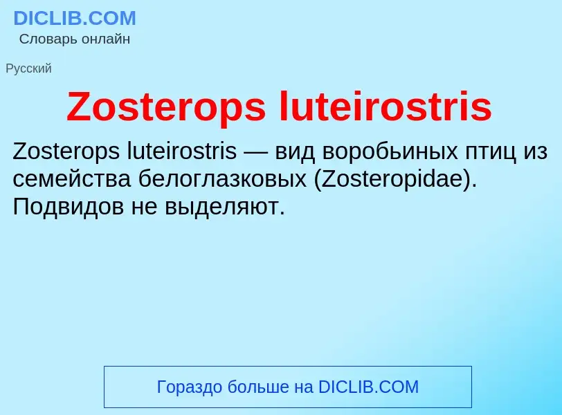 Τι είναι Zosterops luteirostris - ορισμός