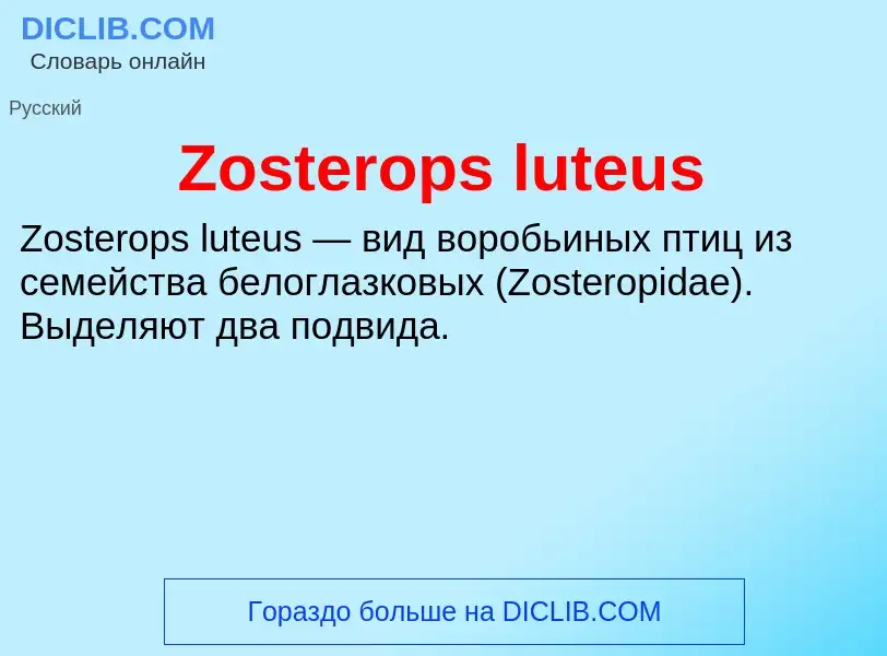 Что такое Zosterops luteus - определение