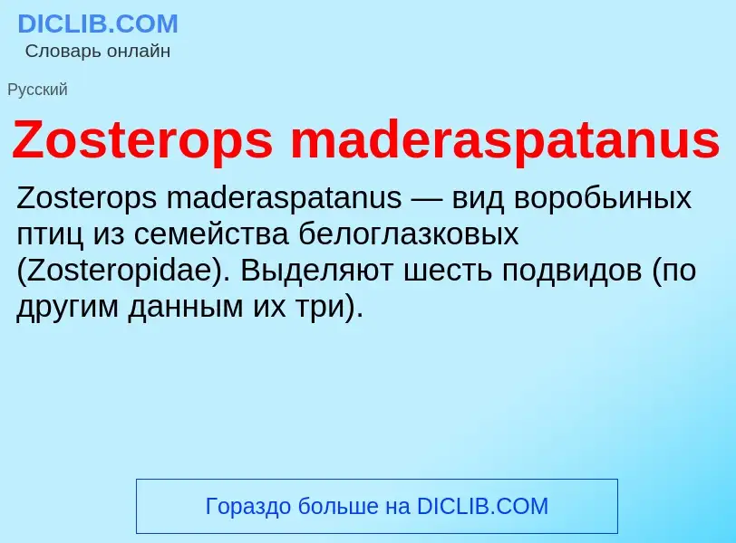 ¿Qué es Zosterops maderaspatanus? - significado y definición