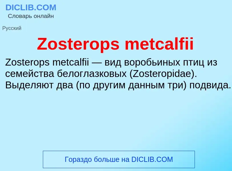 Что такое Zosterops metcalfii - определение