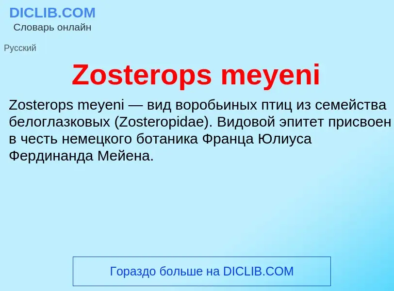 Что такое Zosterops meyeni - определение