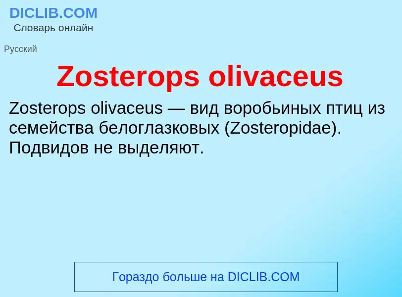 Что такое Zosterops olivaceus - определение