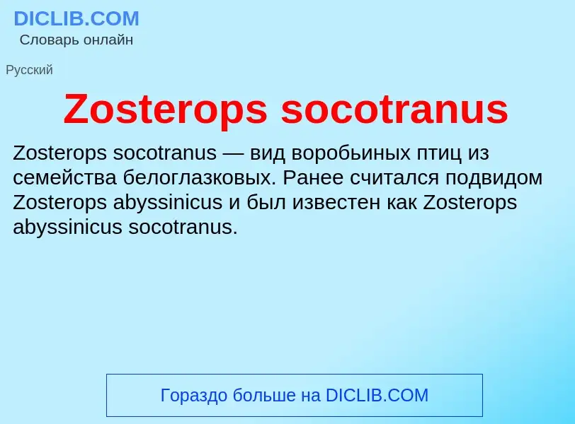 Что такое Zosterops socotranus - определение