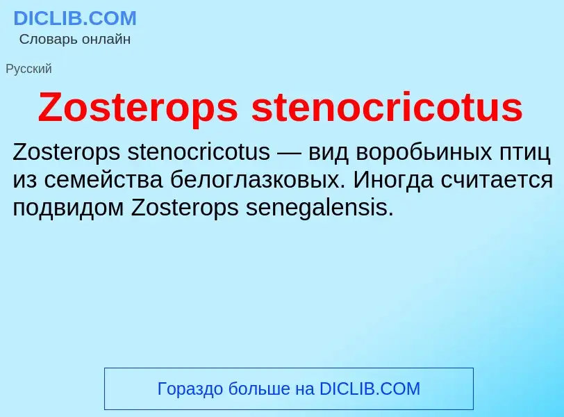 Что такое Zosterops stenocricotus - определение