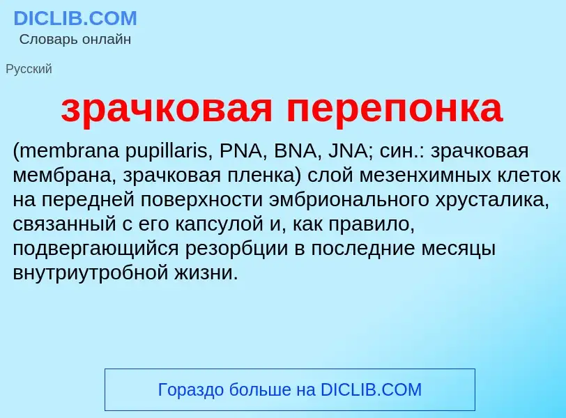 Что такое зрачковая перепонка  - определение