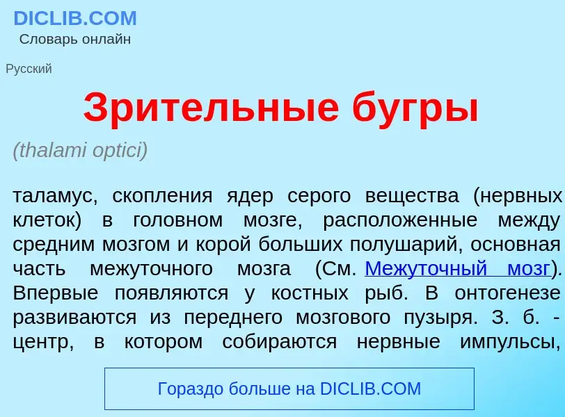 Что такое Зр<font color="red">и</font>тельные бугр<font color="red">ы</font> - определение