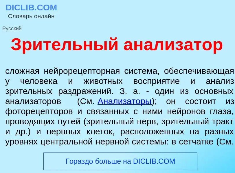 Что такое Зр<font color="red">и</font>тельный анализ<font color="red">а</font>тор - определение