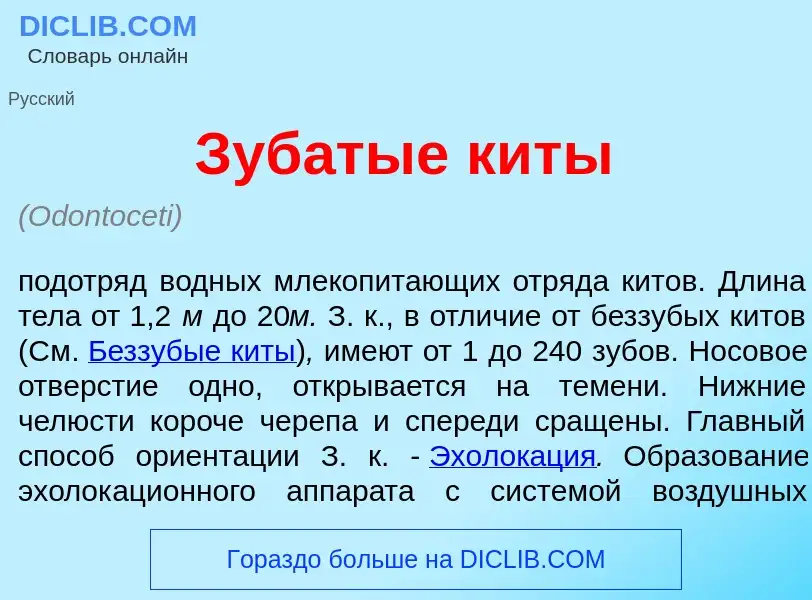 What is Зуб<font color="red">а</font>тые кит<font color="red">ы</font> - meaning and definition