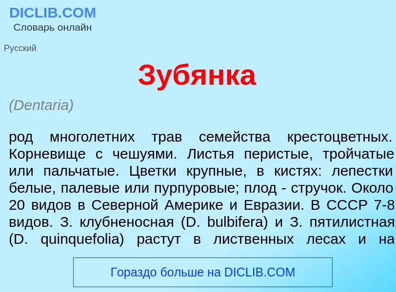 Che cos'è Зуб<font color="red">я</font>нка - definizione