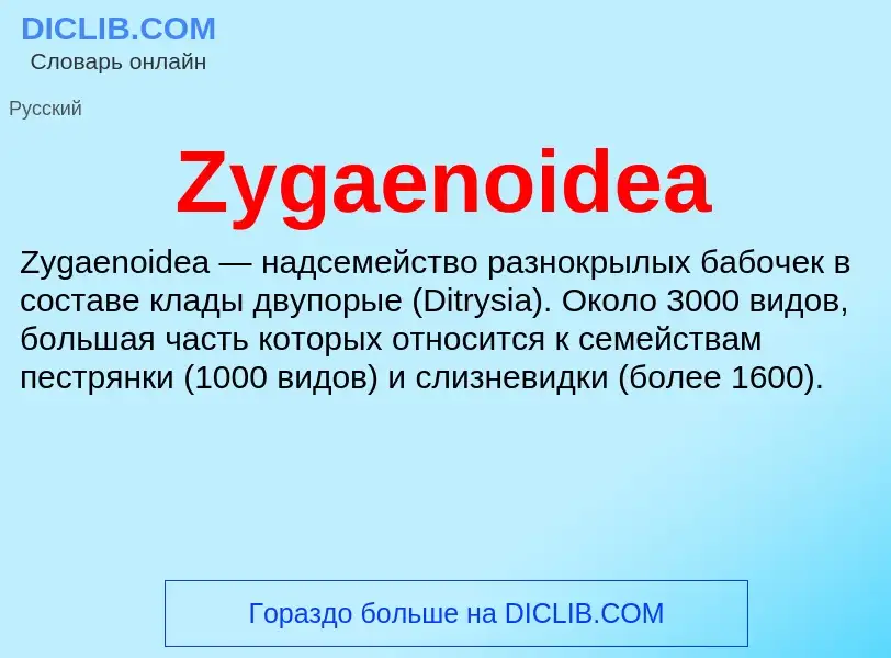 Что такое Zygaenoidea - определение