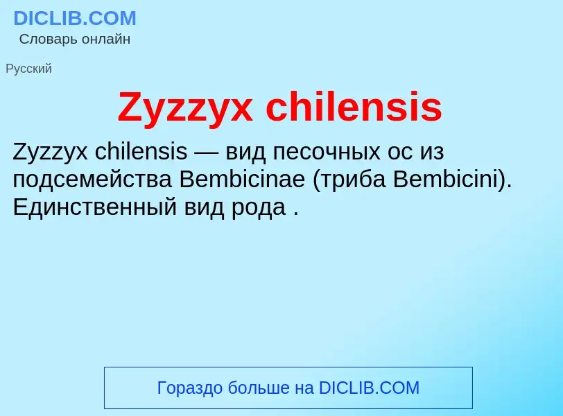 ¿Qué es Zyzzyx chilensis? - significado y definición